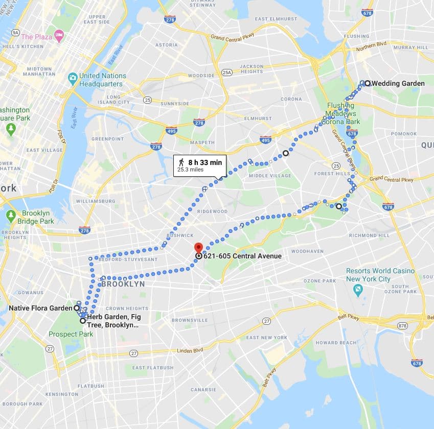 Week 41 Walk Route