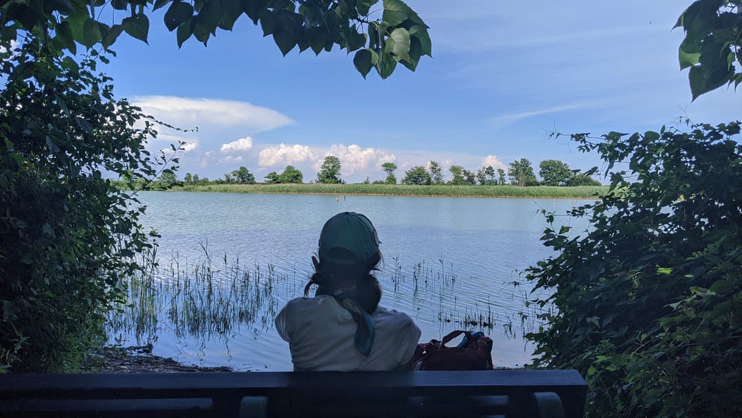 Jamaica Bay Wildlife Refuge