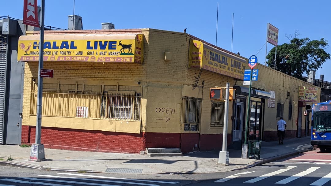 Halal Live