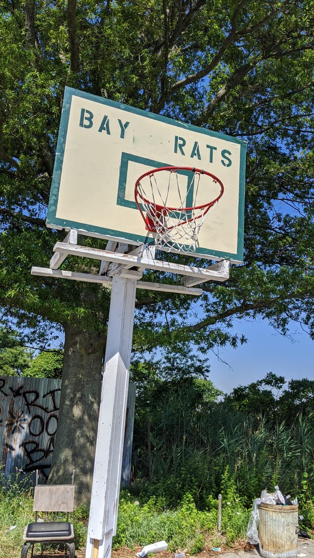 Bay Rats