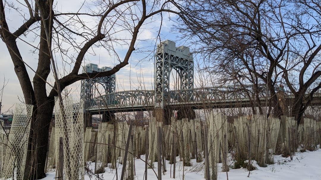 RFK Harlem River Edition