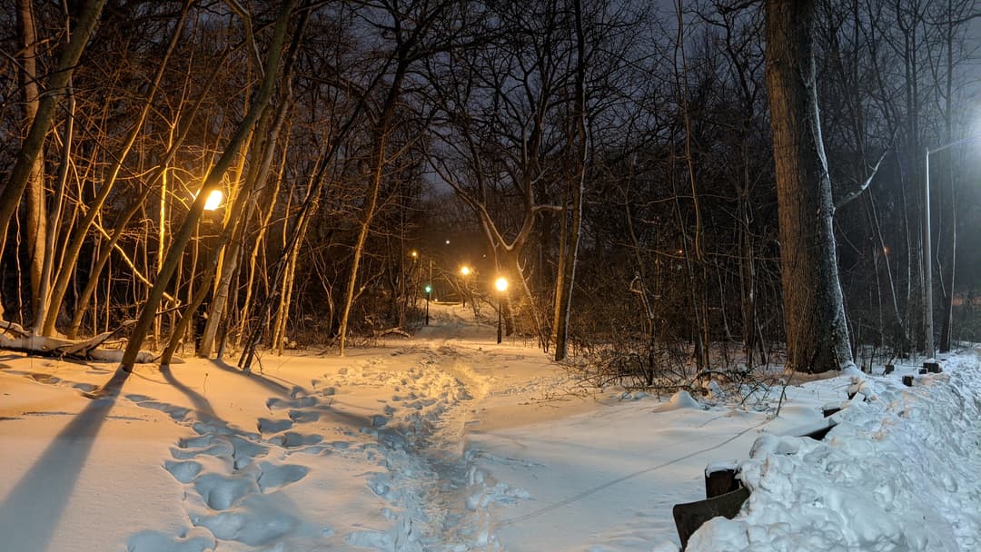 Forest Park Snow Paths