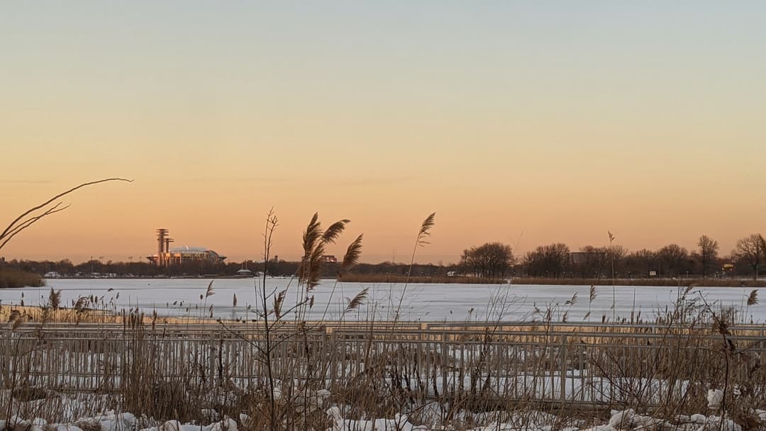 Flushing Complex From Afar