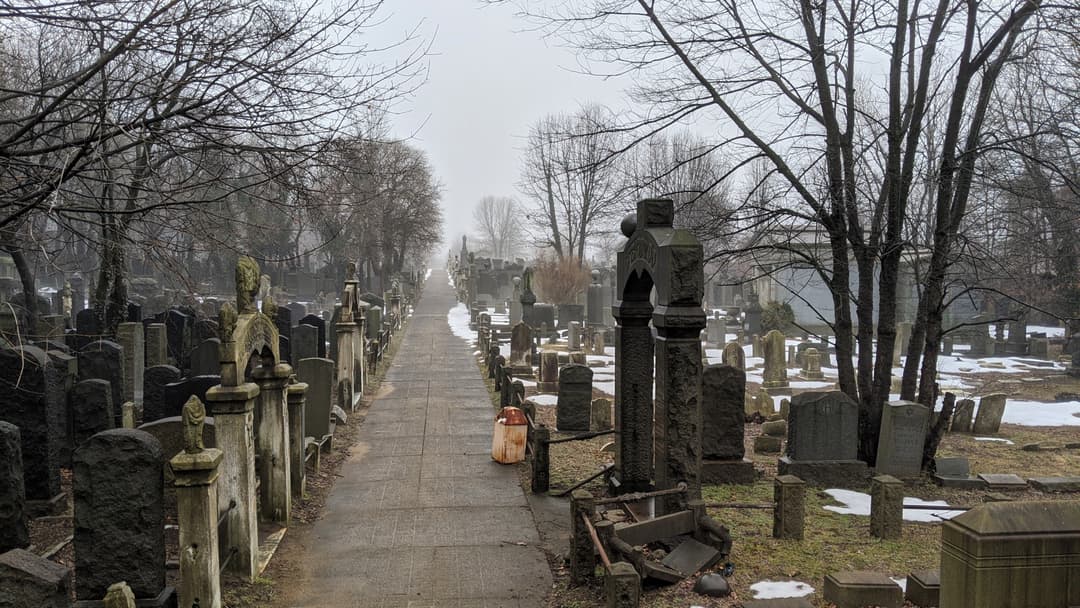 Misty Cemetery