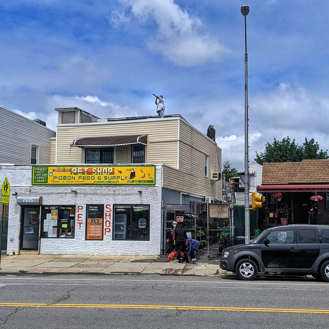 Pet Shop Pigeon Feed & Supply