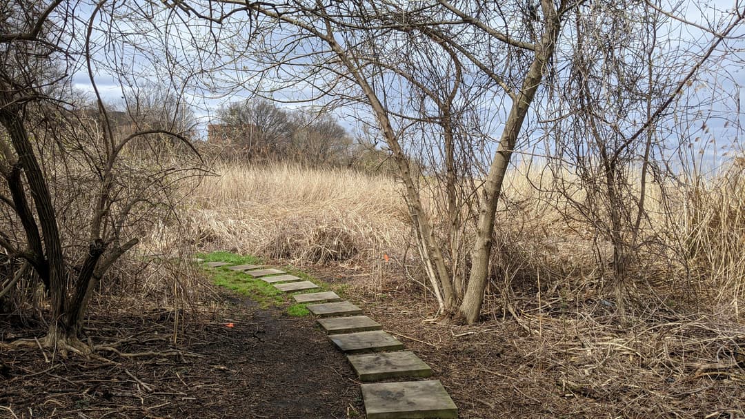 Willow Lake Preserve Trail