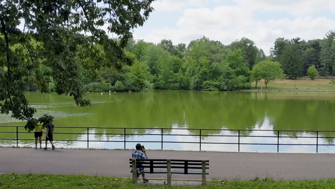 Kissena Lake