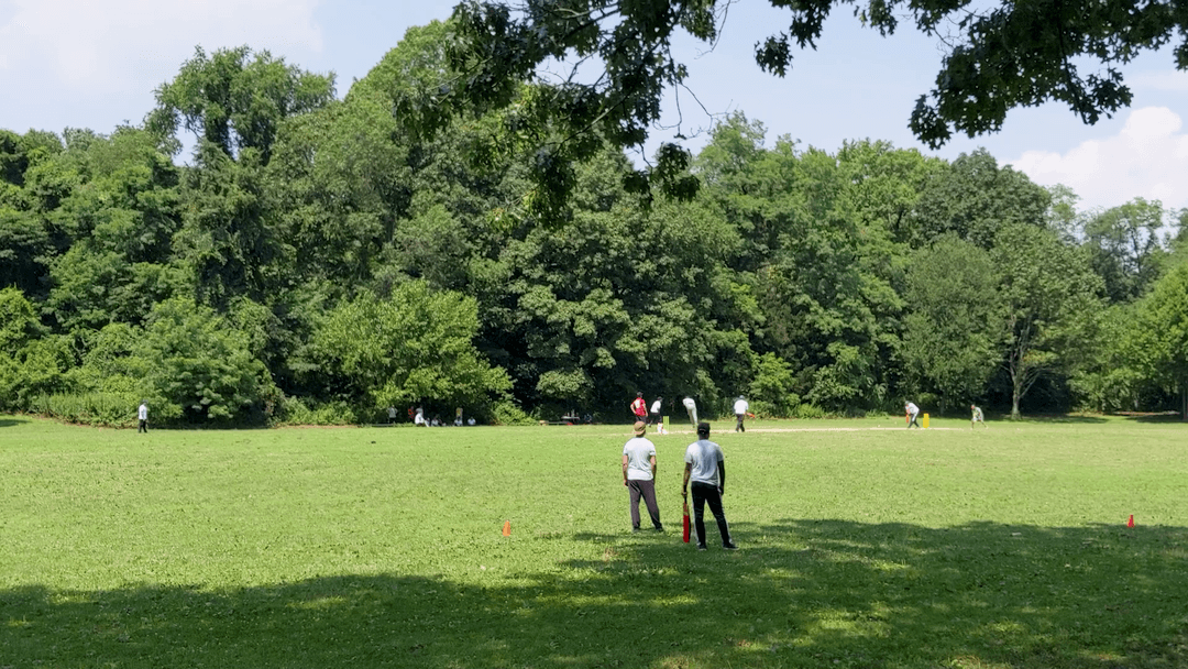 Alley Pond Cricket