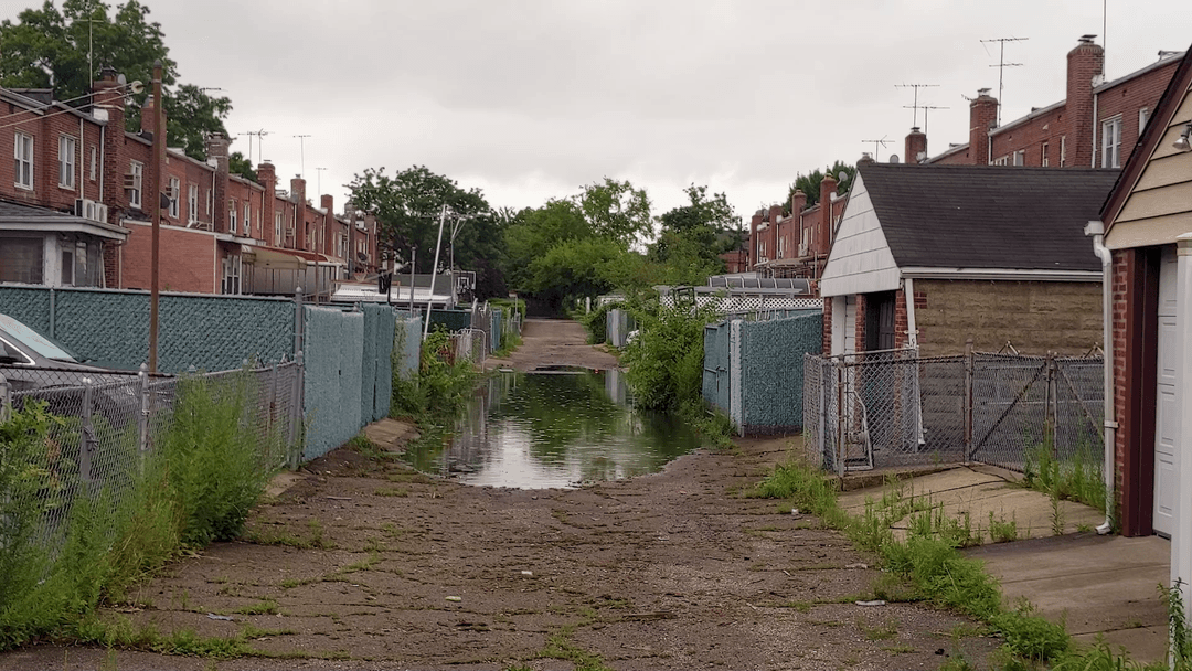 Alley  Flood