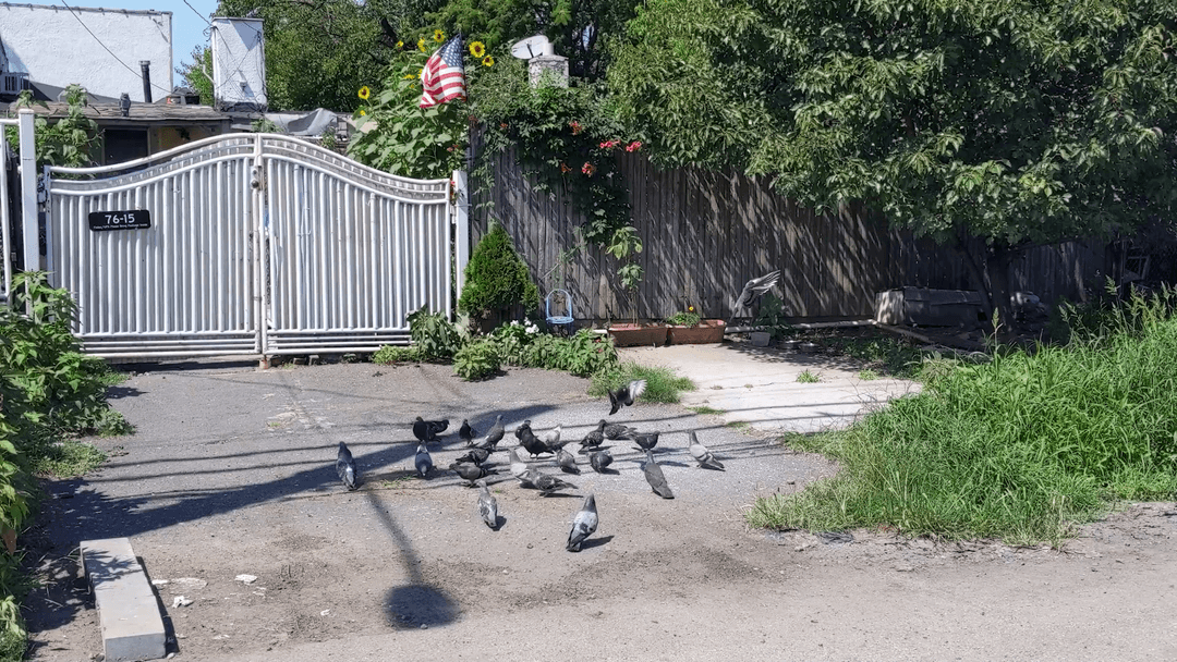 Block Party
