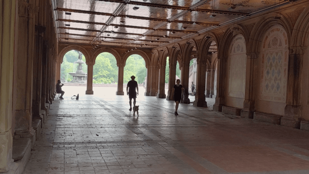 Bethesda in Summer