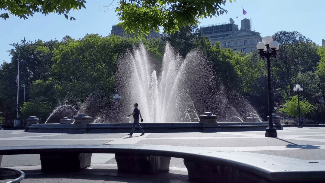 Washington Square 2020
