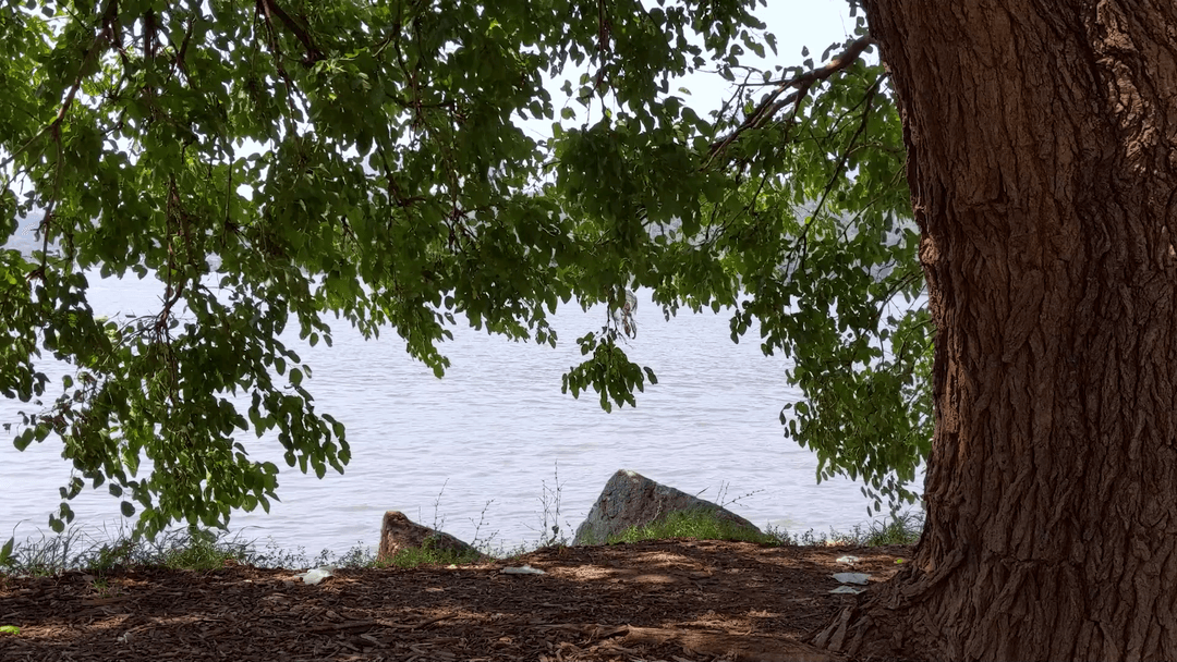 Secret Spot