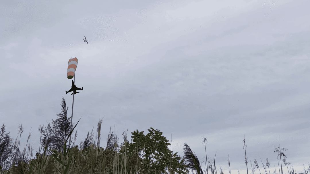 Barnstormer