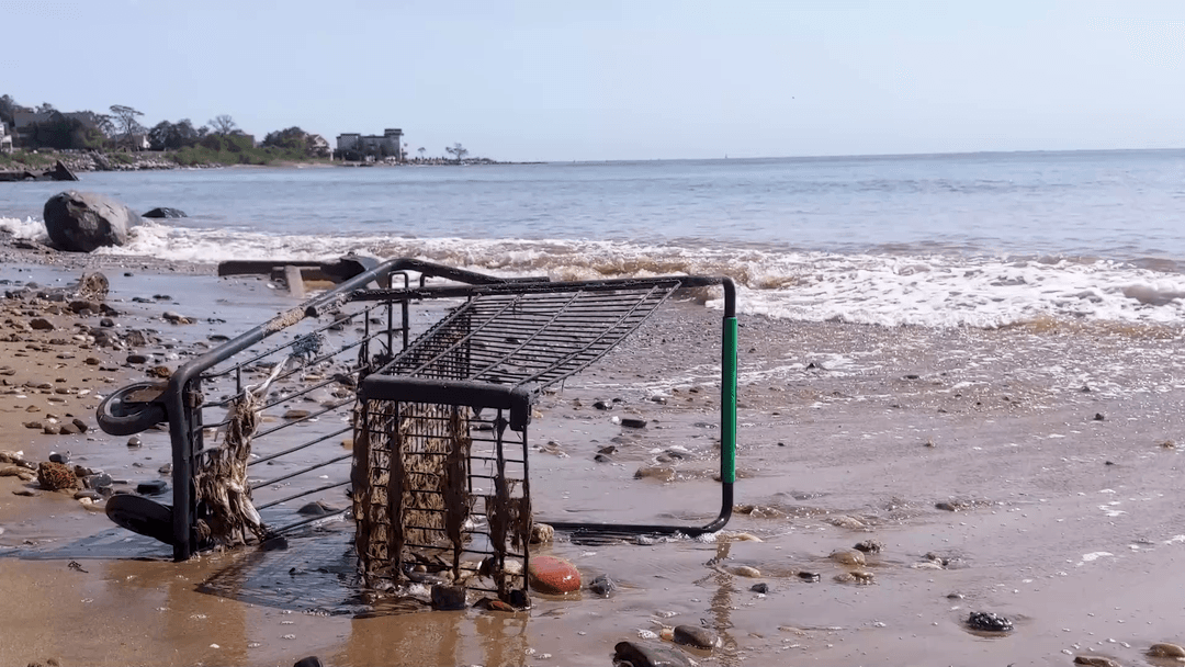 Beach Debris