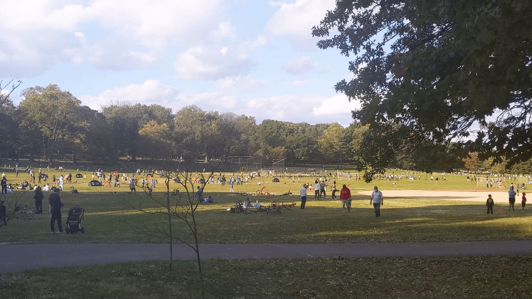 Prospect Baseball  Fields