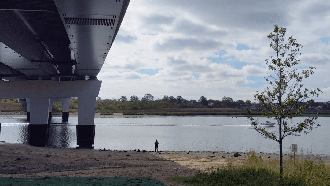 Canarsie Park Overpass