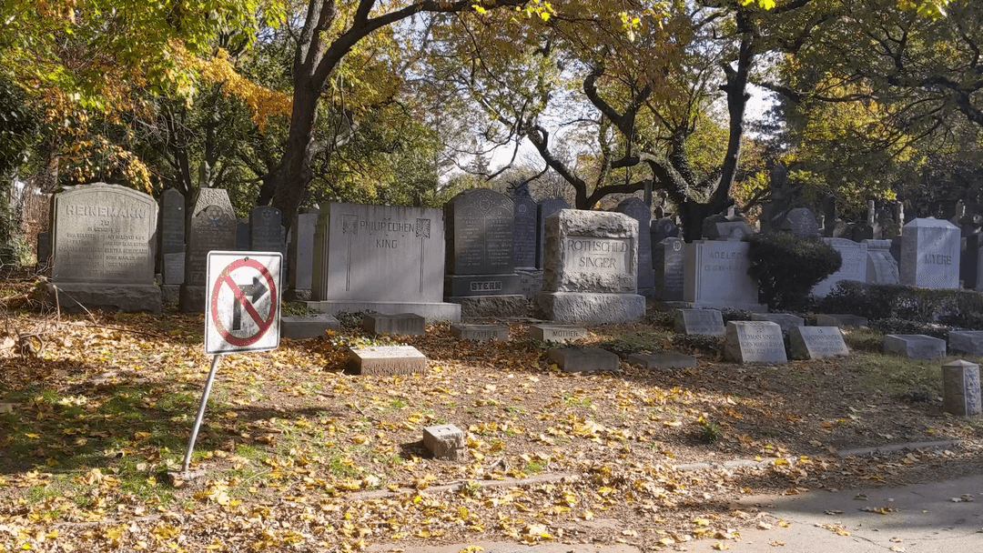 Wrong Turn