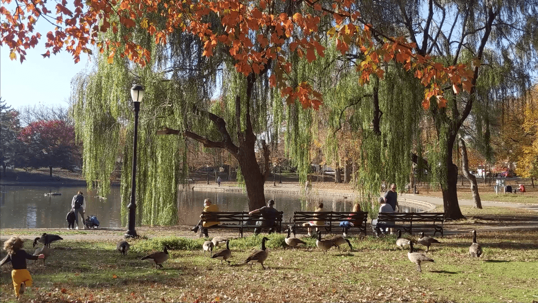 Bowne Park