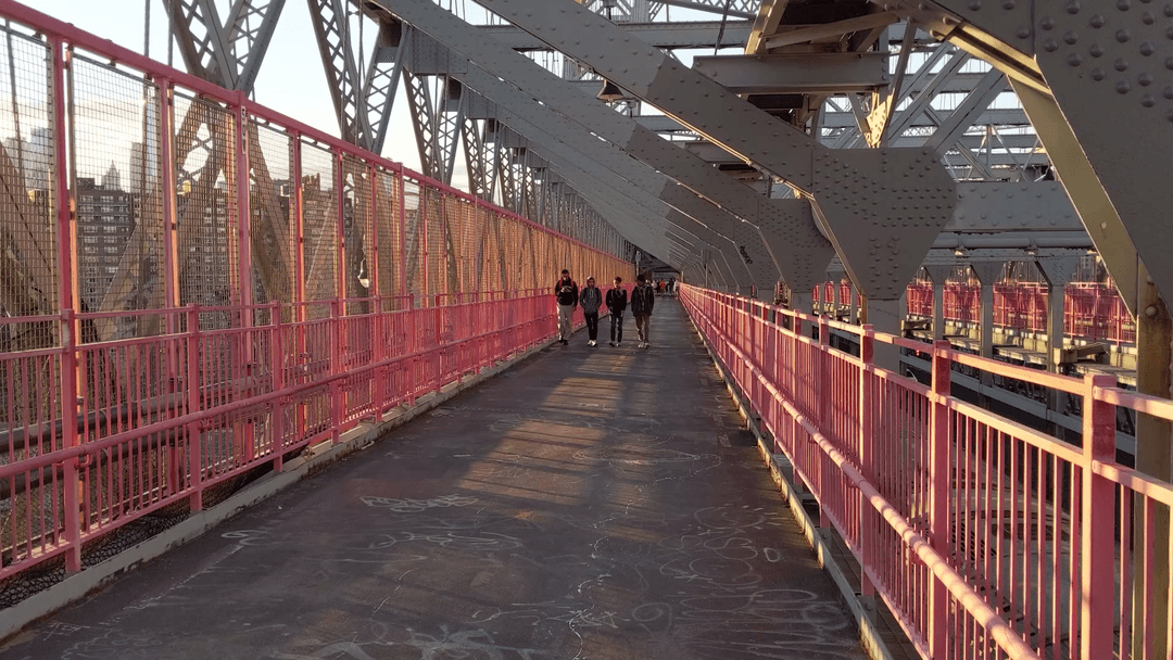 Williamsburg Lattice