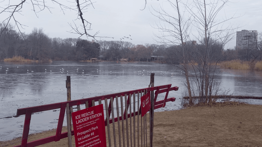Ice Rescue