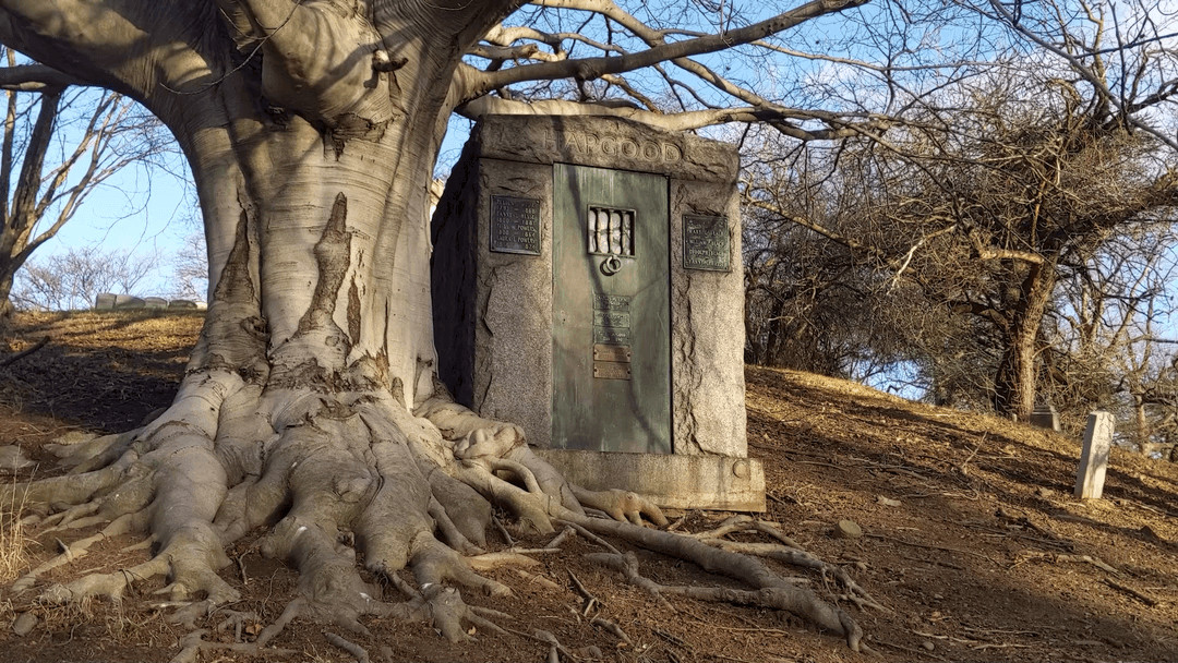 Hidden Vault