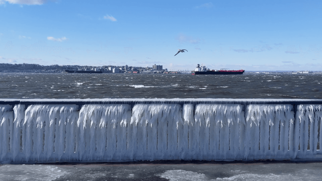 Sea Ice