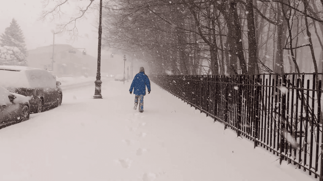 Our Blizzard Walk