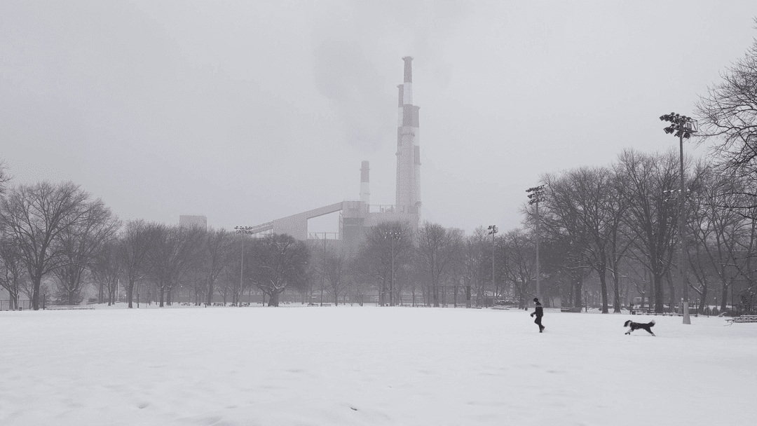 Snow Day
