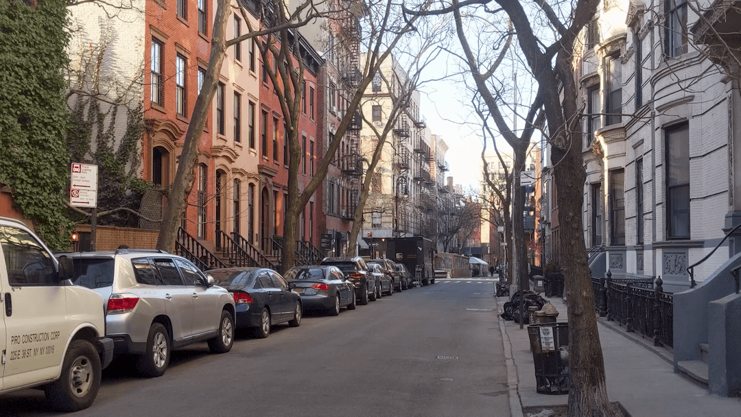 West Village Birdsong