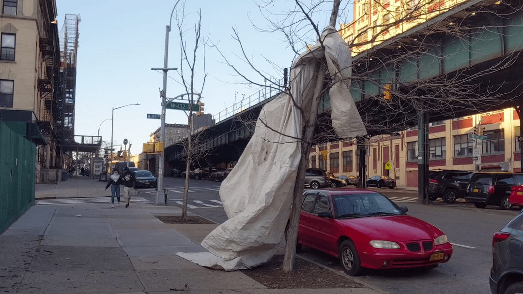 W 132 St