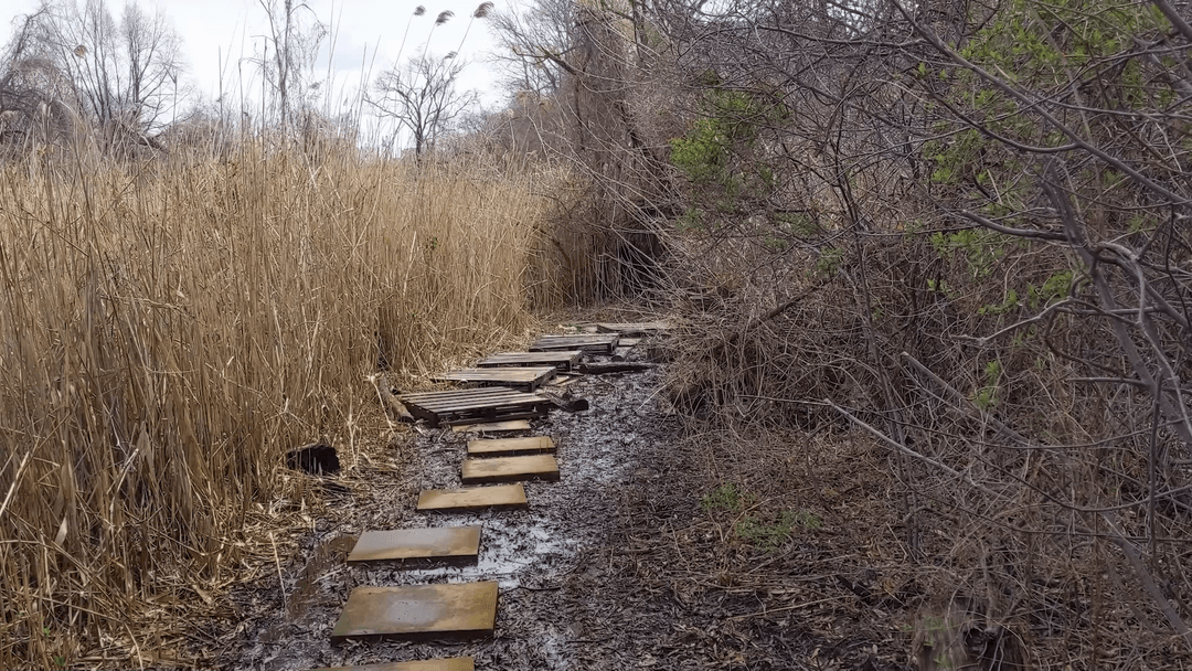 Engagement Path