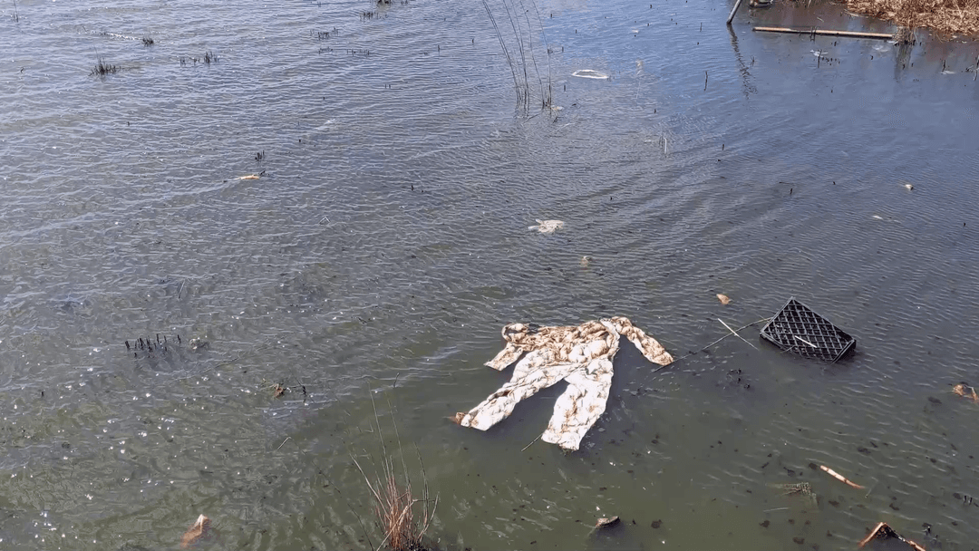 Escape From Willow Lake