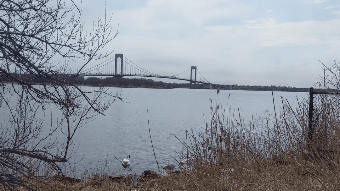 Whitestone  From The Bronx