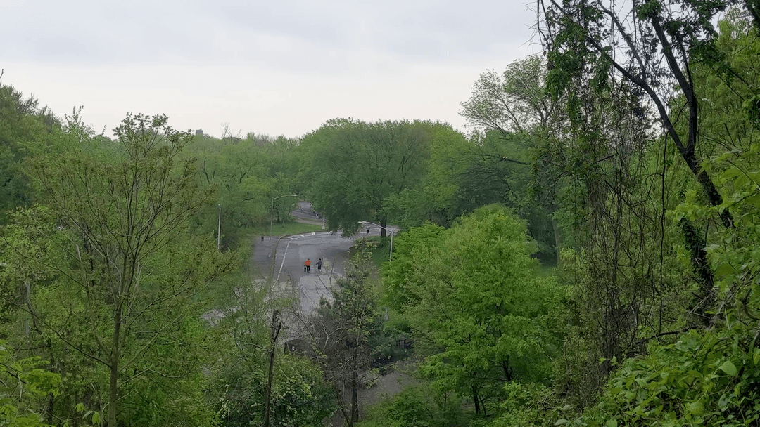 Up Above Prospect