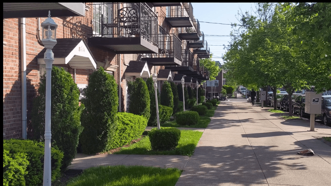 City Lawns