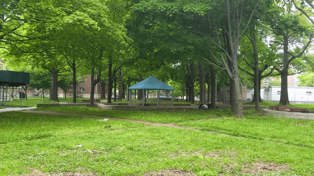 Desire Paths