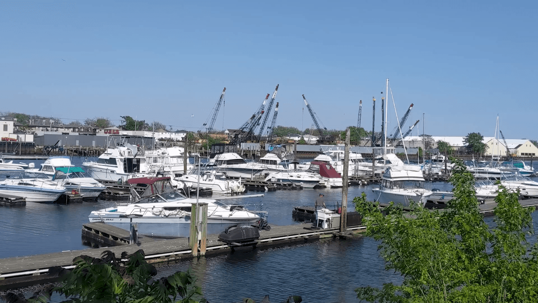 Safe Harbor