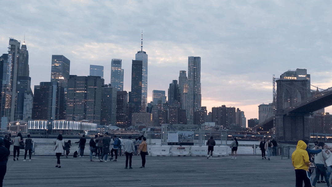 The View  From Brooklyn