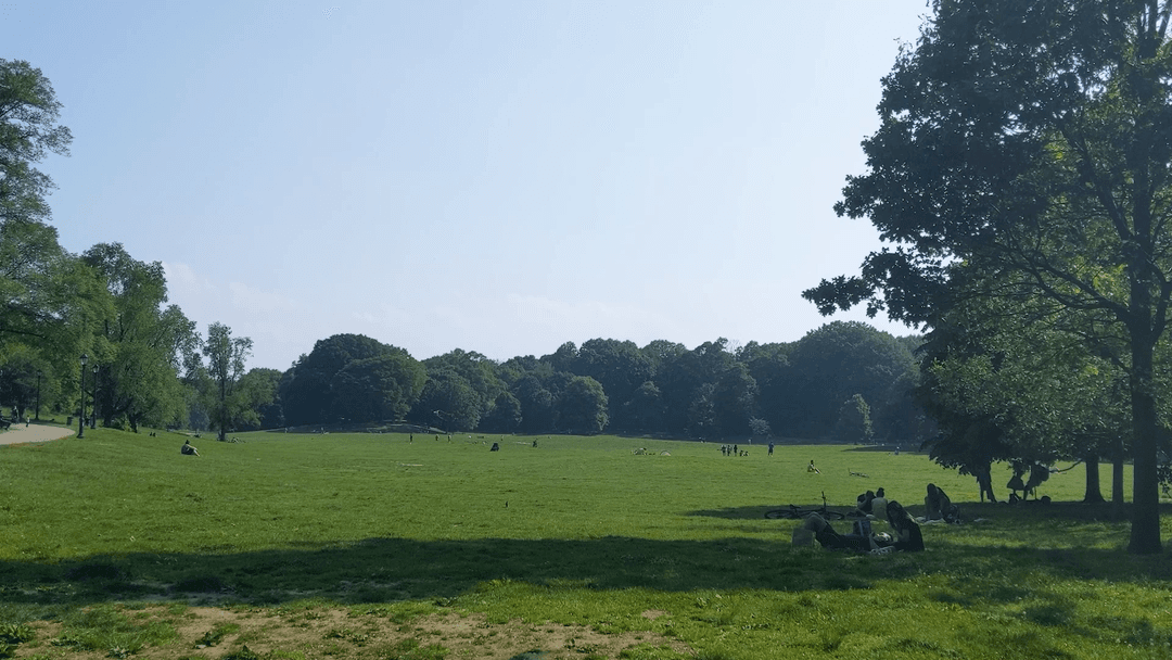 Prospect Lawn