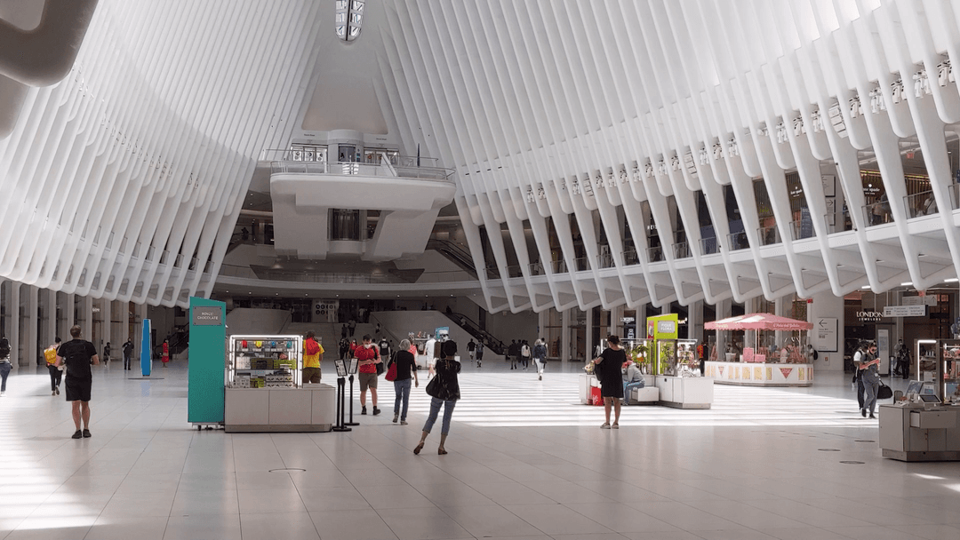 The Oculus